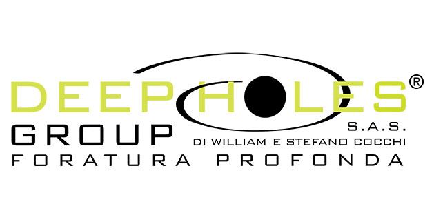 Deep Holes Group logo